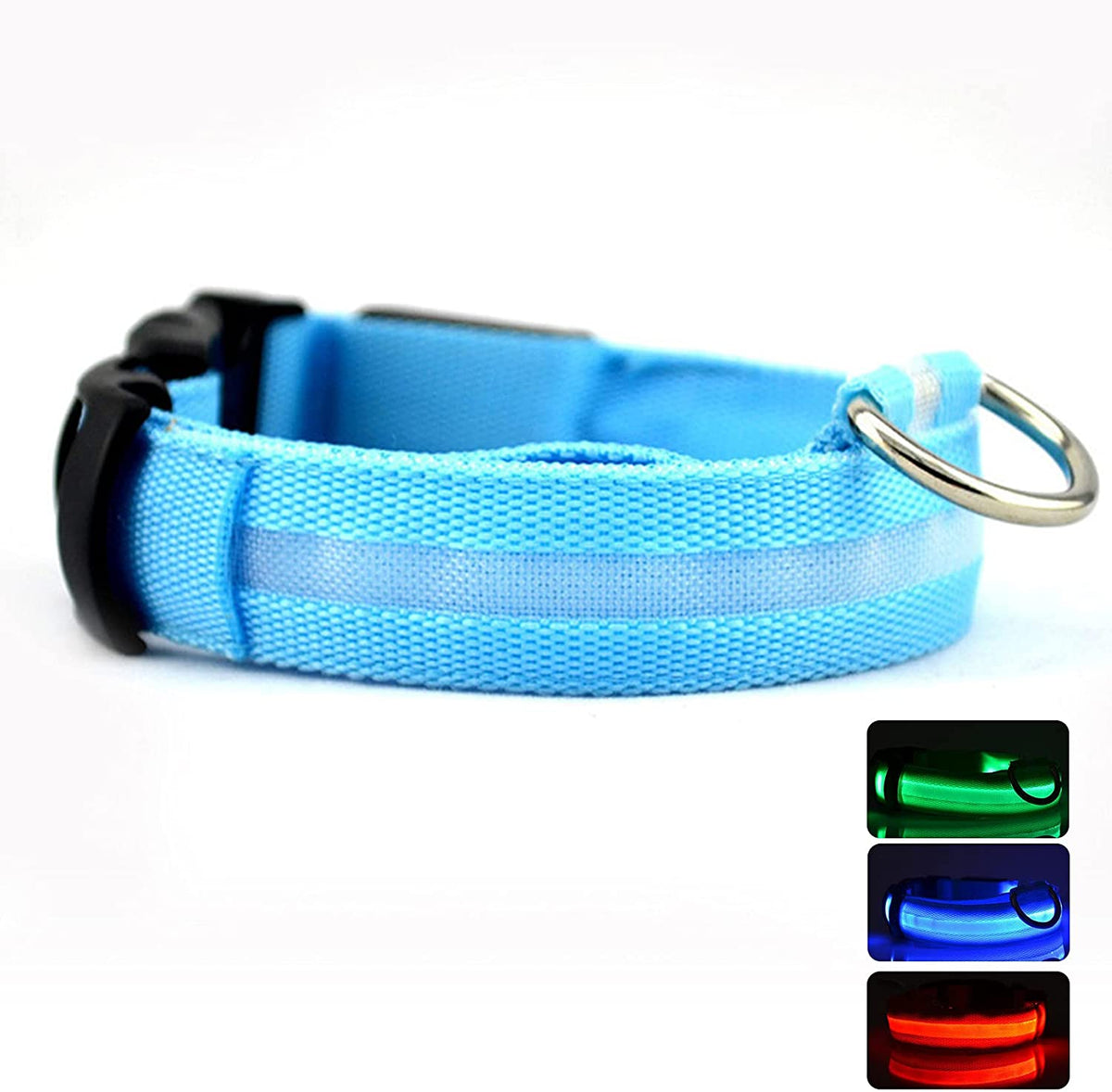 Collier lumineux pour chiens - Boutique Courir