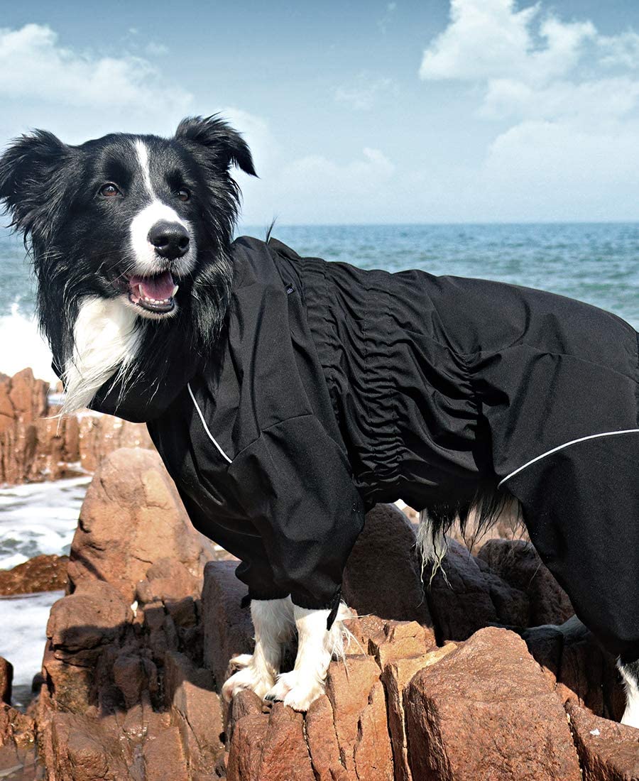 boutique manteau chien