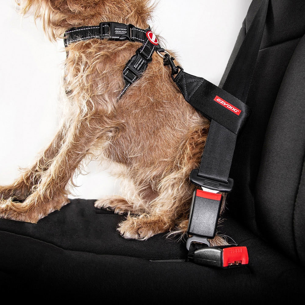 Ceinture Chien Voiture - Chien Harnais Voiture - Dog Seatbelt