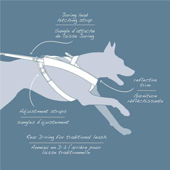 3 choses à savoir pour bien choisir le harnais de canicross de votre chien  – RUNWITHURDOG