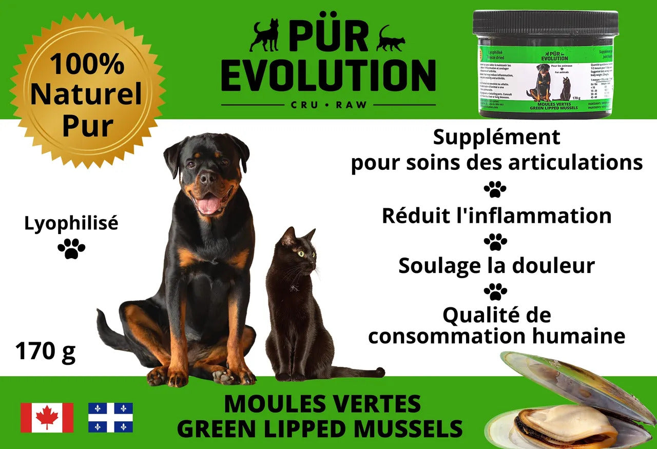 Pur Evolution - Poudre de Moules Vertes - 170g – Boutique Animali